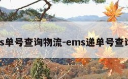 ems单号查询物流-ems递单号查询查