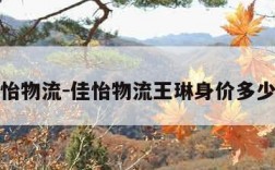佳怡物流-佳怡物流王琳身价多少亿