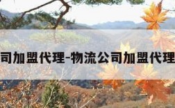 物流公司加盟代理-物流公司加盟代理哪家好