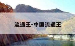 流通王-中国流通王