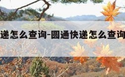 圆通快递怎么查询-圆通快递怎么查询运费多少钱