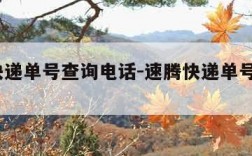速腾快递单号查询电话-速腾快递单号查询100