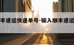 输入顺丰速运快递单号-输入顺丰速运单号查询s