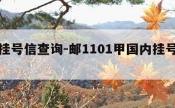 国内挂号信查询-邮1101甲国内挂号信查询