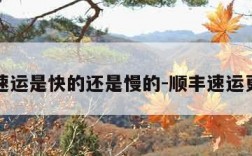 顺丰速运是快的还是慢的-顺丰速运更快吗