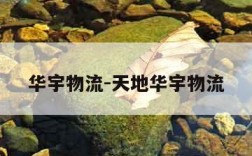 华宇物流-天地华宇物流