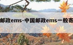 中国邮政ems-中国邮政ems一般寄什么东西