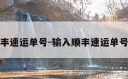 输入顺丰速运单号-输入顺丰速运单号怎么查