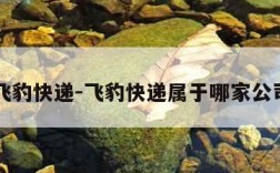 飞豹快递-飞豹快递属于哪家公司
