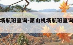 萧山机场航班查询-萧山机场航班查询动态查询