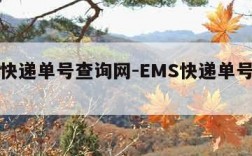 ems快递单号查询网-EMS快递单号查询网站