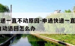申通快递一直不动原因-申通快递一直不动原因 还自动退回怎么办