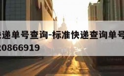 标准快递单号查询-标准快递查询单号查询2006820866919