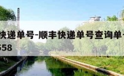 顺丰快递单号-顺丰快递单号查询单号sf1140558