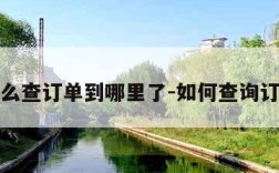怎么查订单到哪里了-如何查询订单