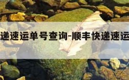 顺丰快递速运单号查询-顺丰快递速运单号查询快递