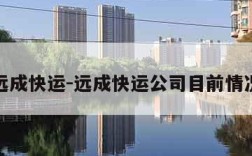 远成快运-远成快运公司目前情况