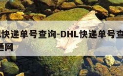 dhl快递单号查询-DHL快递单号查询 物通网