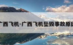 广西飞机-广西飞机坠毁事故原因